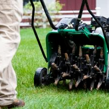 -Spring-Cleanup-Services-in-Arlington-Heights-IL- 0